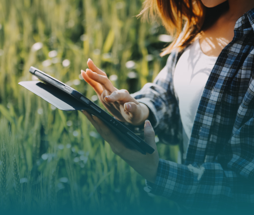 Proyectos con<br>impacto medible Image