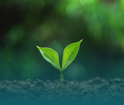 Equipos ESG • Sustentabilidad • Dirección Image